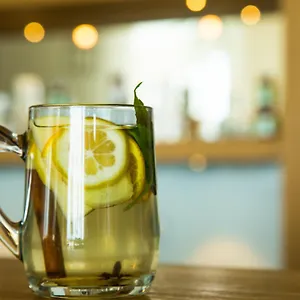The Lifeco Well-being Detox Center And Vegan Otel Antalya
